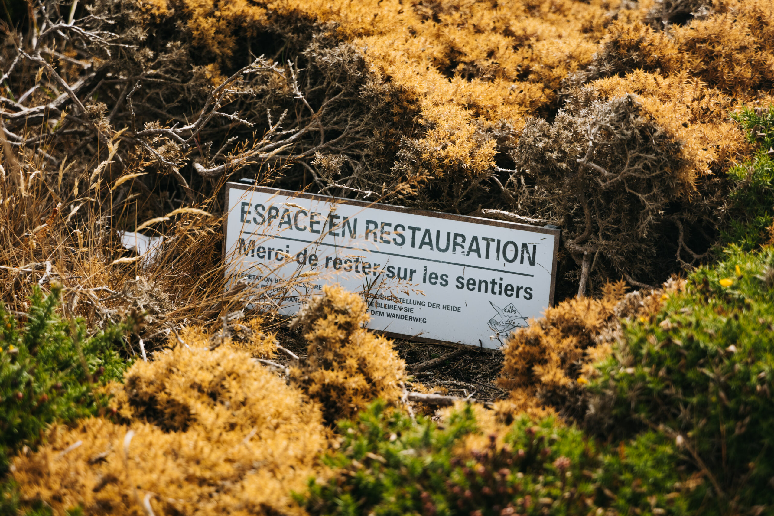 Les impacts des pratiques de la randonnée pédestre et activités connexes sur la biodiversité
